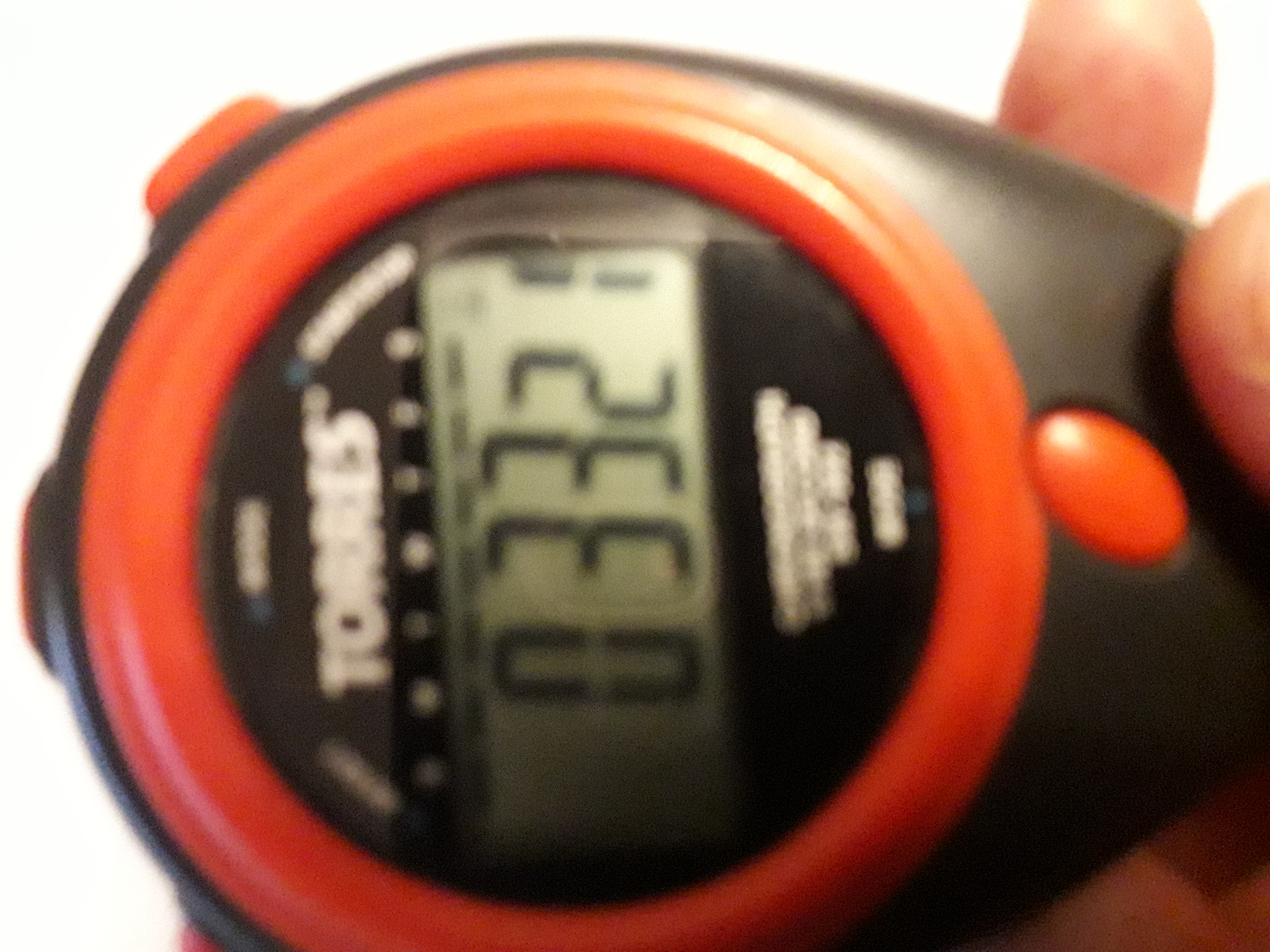 Новикова Софья Владиславовна