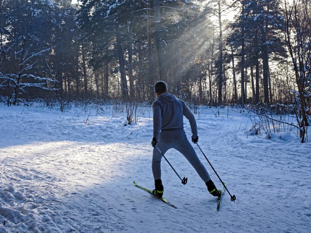 Участки лыжник. Лыжник в лесу. Лыжник со спины. Парень на лыжах. Мужчина на лыжах в лесу.