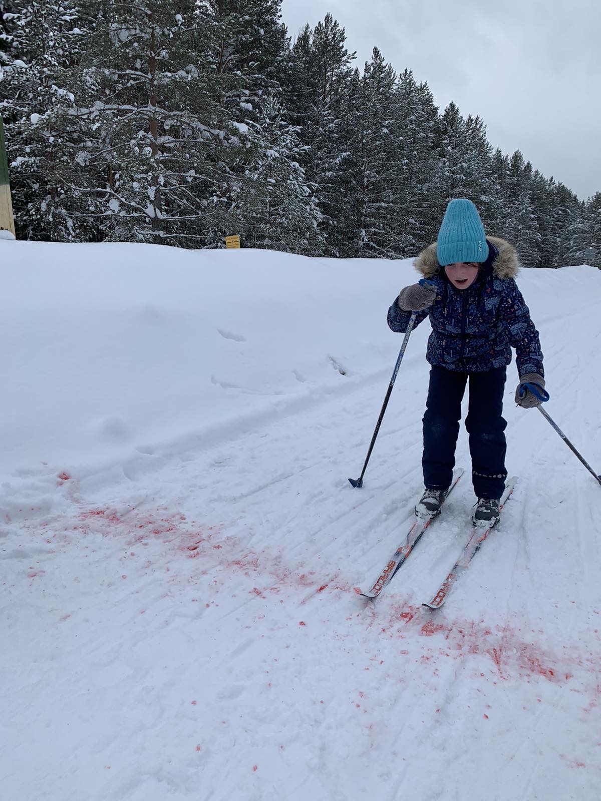 Кузьменко Варвара Андреевна