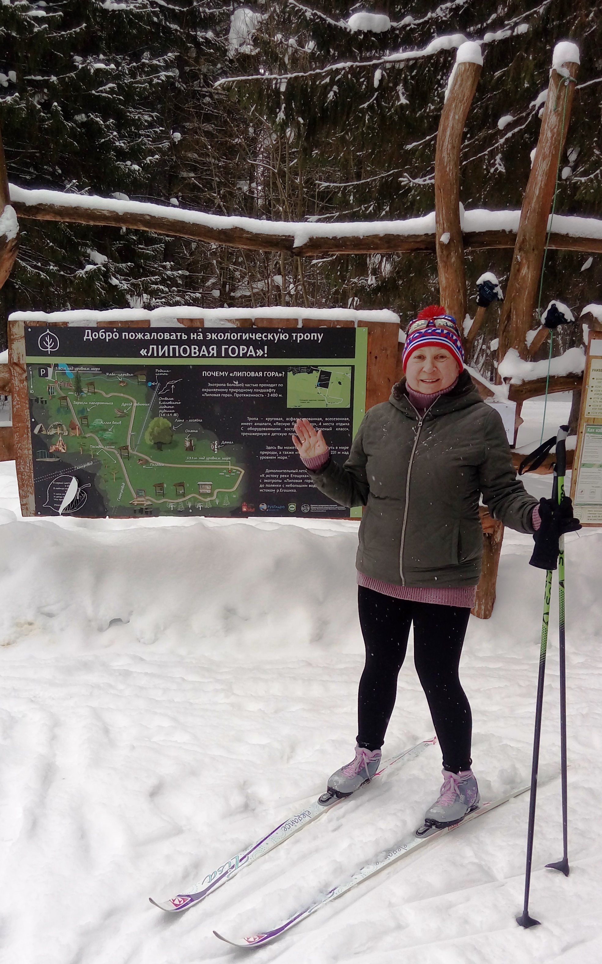 Аристова Елена Алексеевна